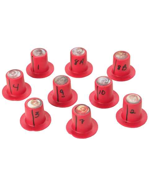 Life/form Diagnostic Cartridges - Set of 9