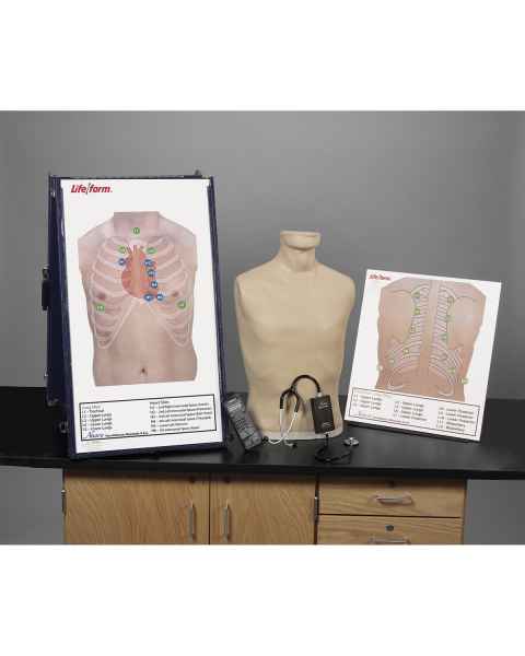 Deluxe Life/form Auscultation Training Station