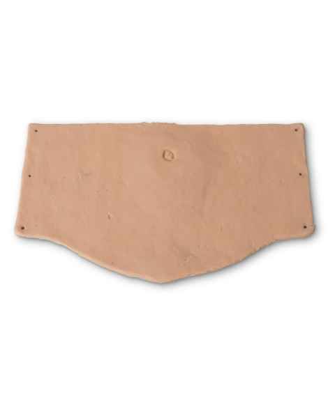 Life/form Replacement Abdominal Skin Overlay