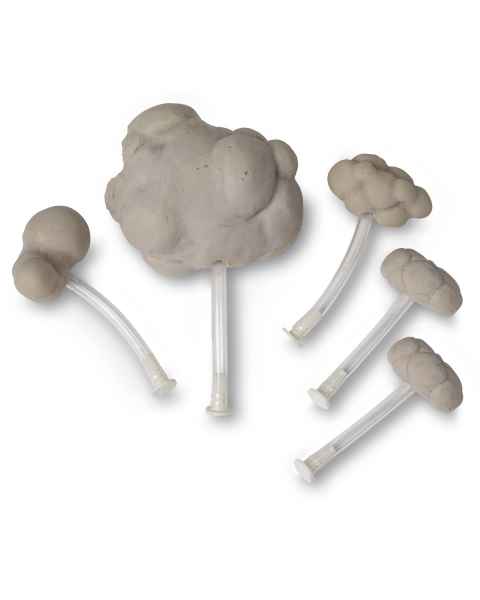 Life/form Replacement Ovary - Set of 5