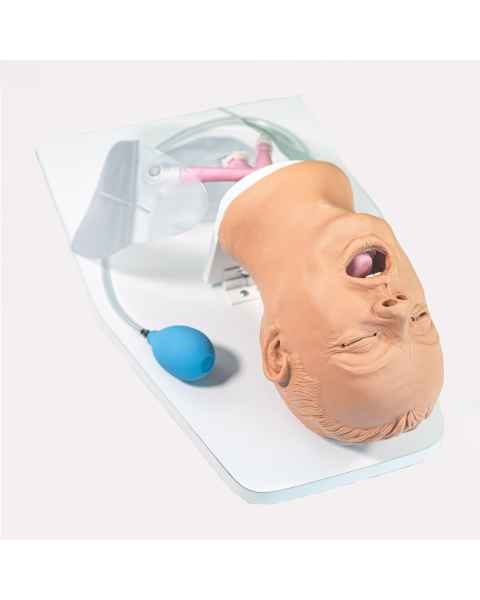 Nasco LF03550 Life/form Airway Larry Adult Airway Management Trainer 2.0 - Light Skin Tone