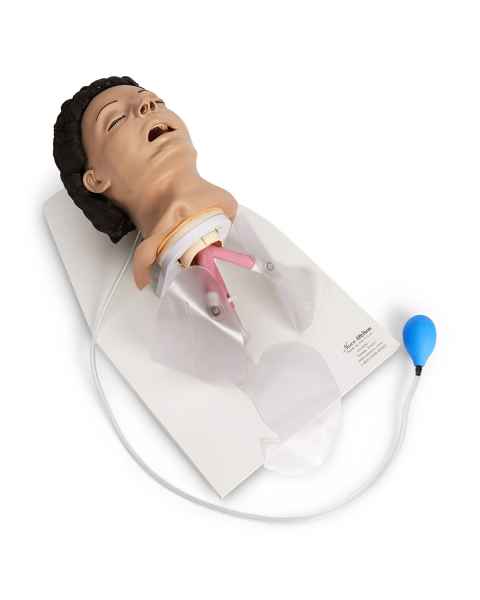 Life/form Adult Airway Management Trainer with Stand