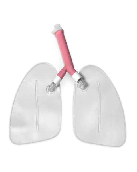 Nasco LF03605 Replacement Lungs for Life/form Airway Larry Airway Management Trainer Manikins