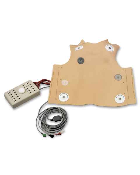 Nasco LF03611 Life/form Child Defibrillation Chest Skin