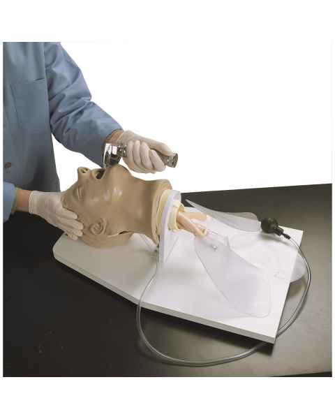 Life/form Airway Larry Adult Airway Management Trainer with Stand