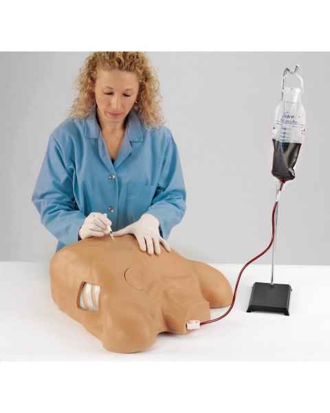 Life/form Pericardiocentesis Simulator with Chest Tube and Pneumothroax