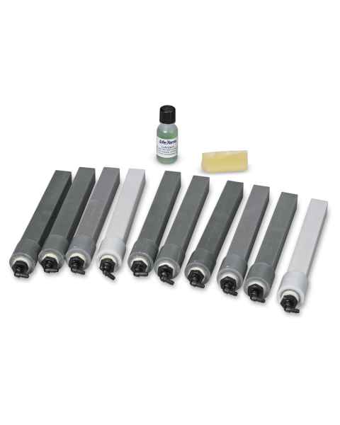Nasco LF03831 Replacement Adult I/O Bones - Set of 10
