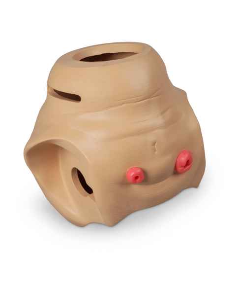 Life/form Replacement Lower GERi Torso