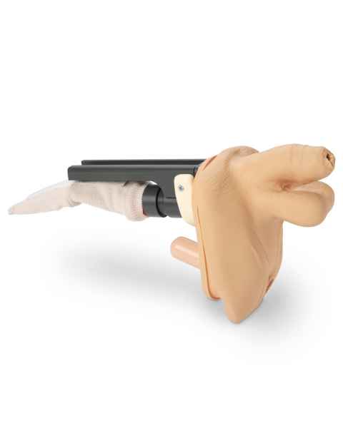 Life/form GERi/KERi Replacement Genitalia (Complete, Advanced, & Auscultation), Male