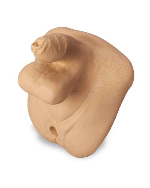 Life/form GERi/KERi Replacement Genitalia (Basic), Male