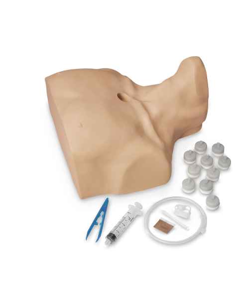 Life/form Adult Sternal Intraosseous Infusion Simulator