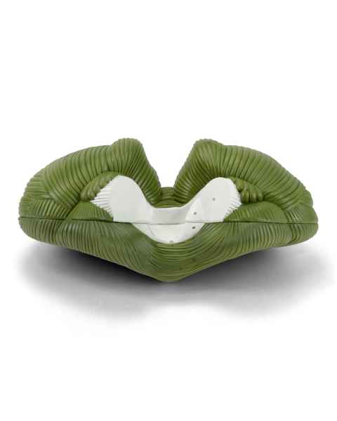 Nasco MG21715 Cerebellum Model, 4x Enlarged, 2 Parts - Angle 1