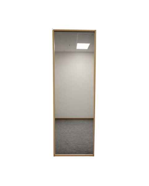 Pivotal Health Solutions MI-2000 Full-Length Wall Mount Mirror