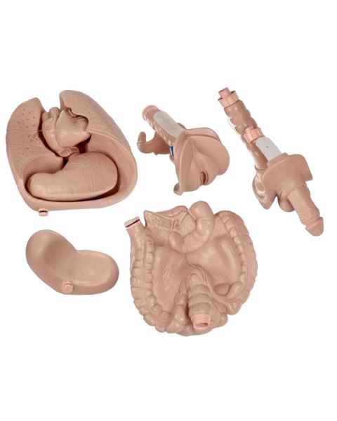 Upgrade Kit for P11
