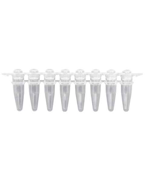 P3020 PureAmp 0.2mL PCR 8-Tube Strips with Separate Domed Cap Strips