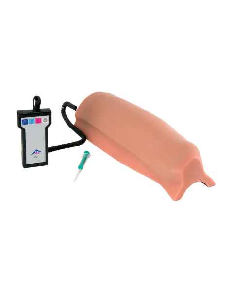 3B Scientific P56 Upper Leg Intramuscular Injection Simulator - Light Skin Tone