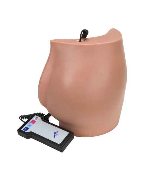3B Scientific P57 Buttock Injection Simulator