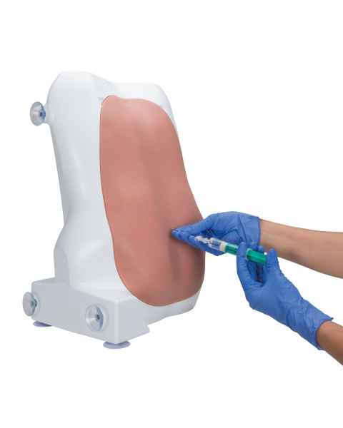 Epidural and Spinal Injection Trainer 