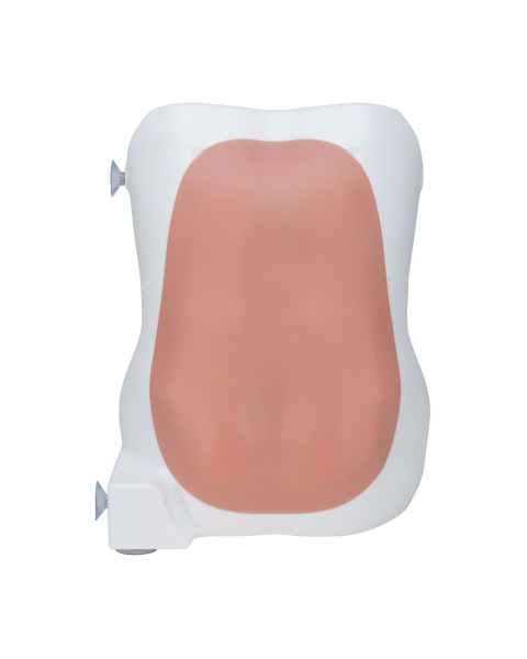 3B Scientific P61 Epidural and Spinal Injection Trainer