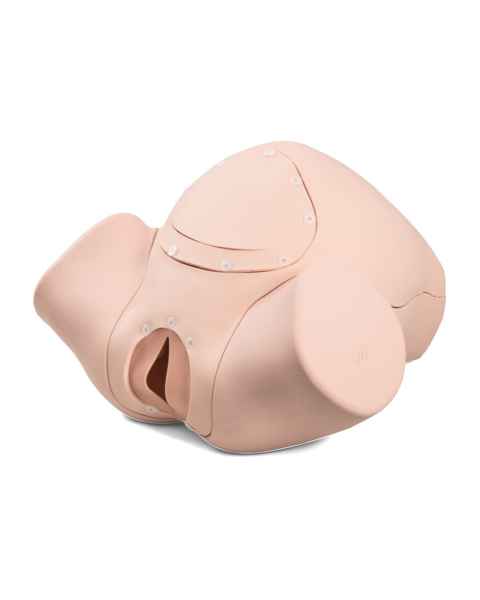 3B Scientific P90B Birthing Simulator Basic - Light Skin Tone
