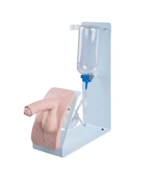 Catheterization Simulator Basic - Male