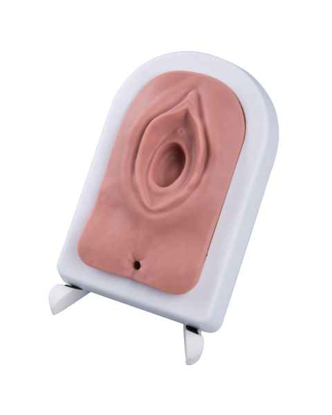3B Scientific P95 Episiotomy and Suturing Trainer - Light Skin Tone