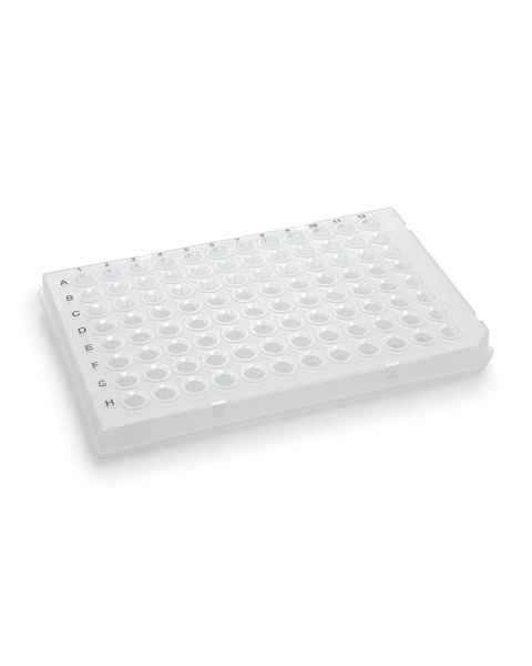 Globe Scientific PCR-HS-01 0.1 mL 96-Well PCR Plate, Half Skirt - Flat Top, Clear