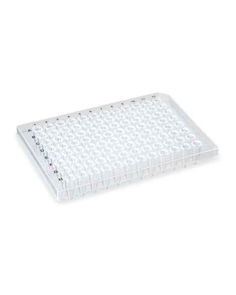Globe Scientific PCR-HS-02 0.2 mL 96-Well PCR Plate, Half Skirt - Flat Top, Clear