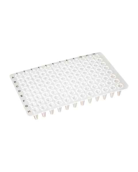 Globe Scientific PCR-NS-01 0.1 mL 96-Well Low Profile PCR Plate, No Skirt - Clear