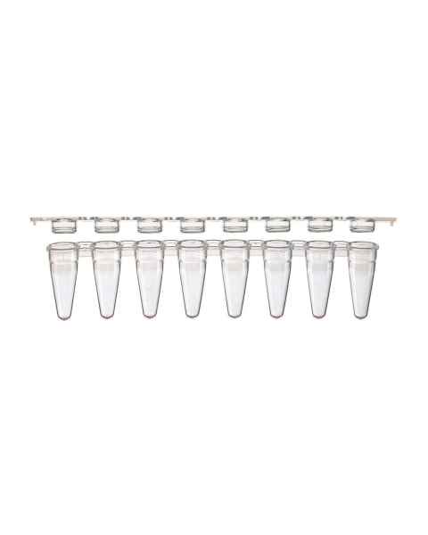 Globe Scientific PCR-STR-01F 0.1 mL 8-Strip Low Profile PCR Tube with Separate Flat Cap Strip - Natural