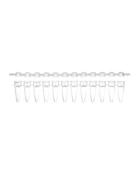 Globe Scientific PCR-STR-02D-12 0.2 mL 12-Strip PCR Tube with Separate Cap Strip - Dome Cap