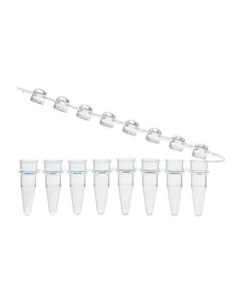 Globe Scientific PCR-STR-02D-ZIP 0.2 mL 8-Strip PCR Tube with Hinged Attached Cap Strip - Dome Cap