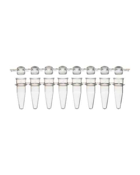 Globe Scientific PCR-STR-02D 0.2 mL 8-Strip PCR Tube with Separate Cap Strip - Dome Cap
