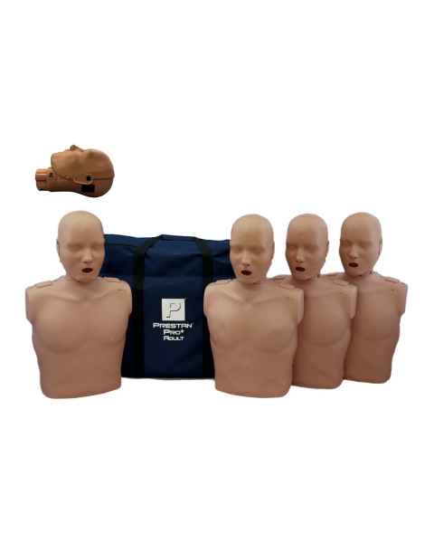 Prestan PP-AMP-400M-DS PRO+ Adult Manikin with CPR Feedback, Standard Face-Shield, 4-Pack, Dark Skin Tone - Set with an Illustration of Head in Side View