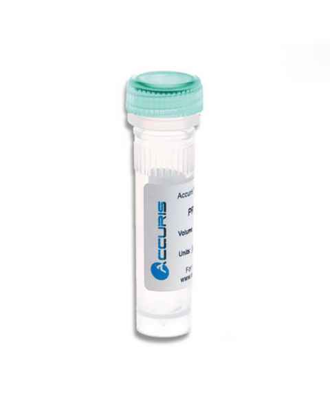 Accuris Taq Plus DNA Polymerase and Master Mix