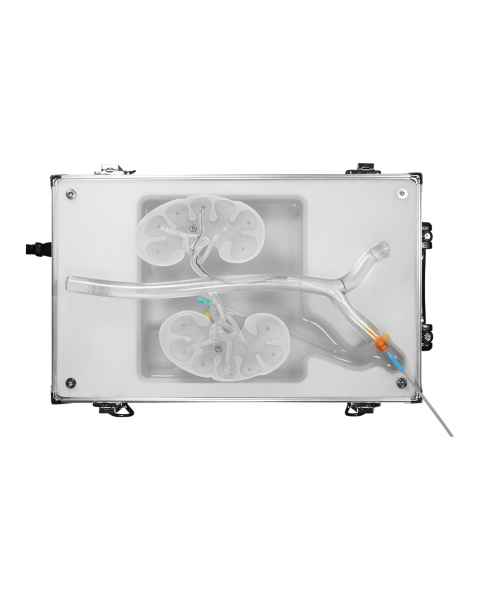 SurgMate RDN-B01 Renal Artery Wiring and Spiral Ablation Training Platform (Cable Wire Accessory is Not Included)