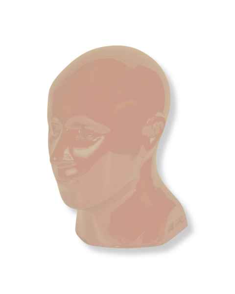 RSD Head Phantom with Cadaver Bones, Opaque - Light Skin