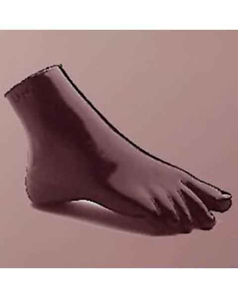 RSD Anthropomorphic Plantar Flexion Ankle Phantom