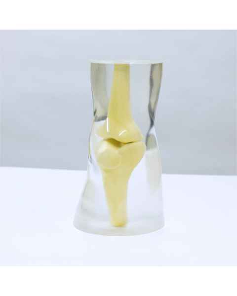 RS-118T Transparent Knee Phantom