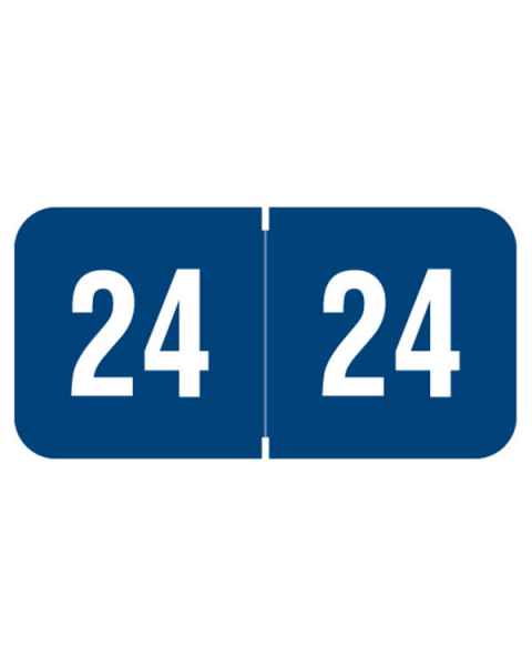 Arden Label RY3R-24 2024 Year Labels for Ringbook - Reynolds & Reynolds Compatible - 3/4