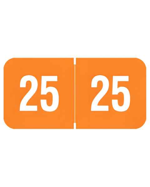 Arden Label RY3R-25 Reynolds & Reynolds Compatible RY3R Series 2025 Year Labels for Ringbook - Size 3/4