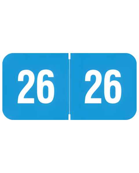2026 Year Labels for Ringbook - Reynolds & Reynolds Compatible RY3R Series - Size 3/4