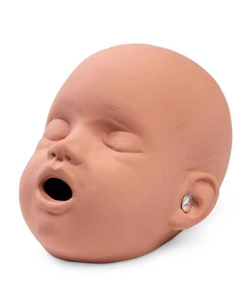 Replacement Head