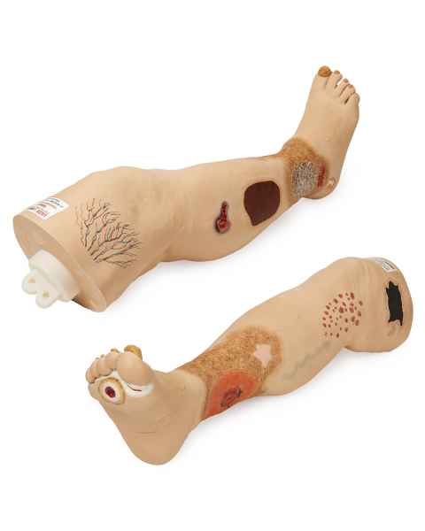 Nasco SB50123 Vinnie Venous Insufficiency Leg