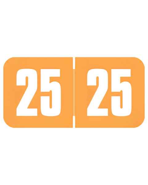 2025 Year Labels - Safeguard Compatible SGYM Series - Size 3/4