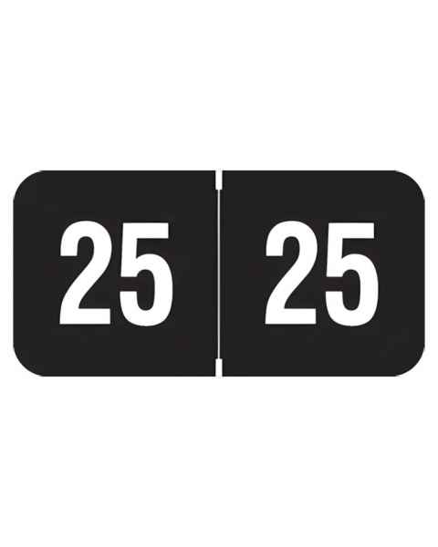 2025 Year Labels - Smead ETYJ Compatible SJYM Series - Size 3/4
