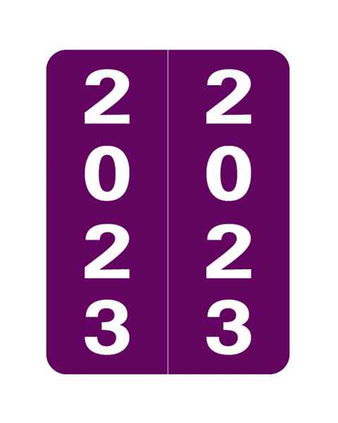2023 Year Labels - Smead Compatible - Size 2