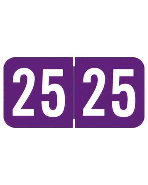 2025 Year Labels - Sav-Tyme Compatible STYM Series - Size 3/4