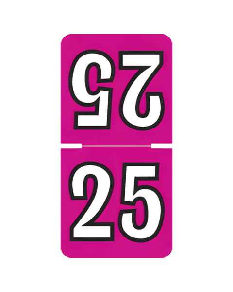 2025 Top-Tab Year Labels - Colwell Compatible TCPK Series - Size 1