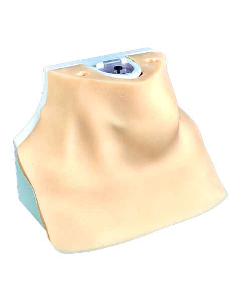 SurgMate THY-S07 Neck Muscle Pad for Enlarged Thyroid Pad (Trachea Base is Sold Separately)